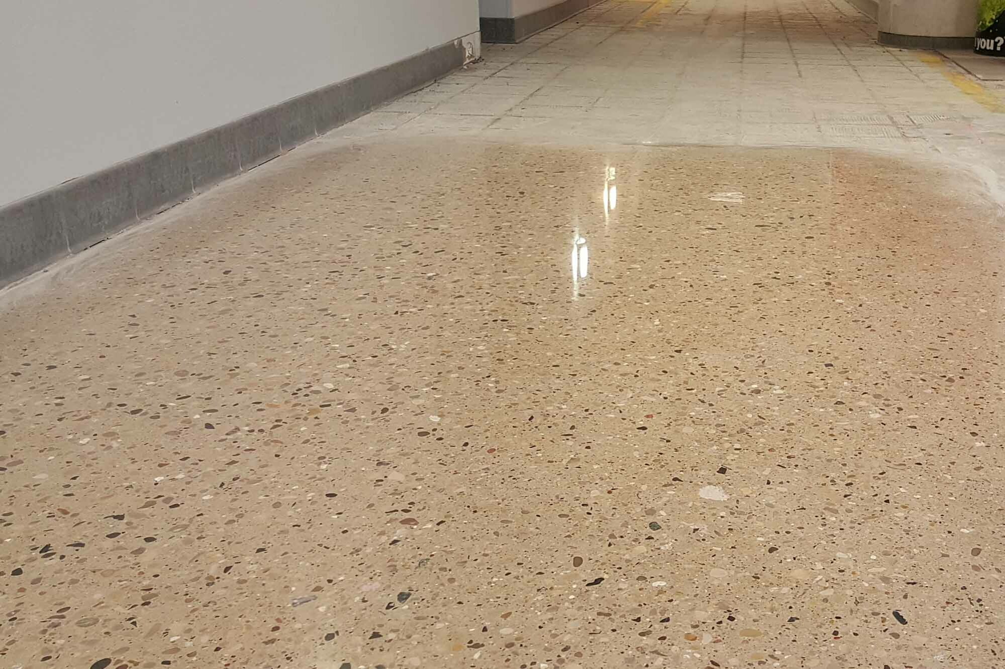 Polished Concrete Floors